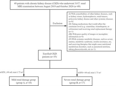 mDIXON-Quant for differentiation of renal damage degree in patients with chronic kidney disease